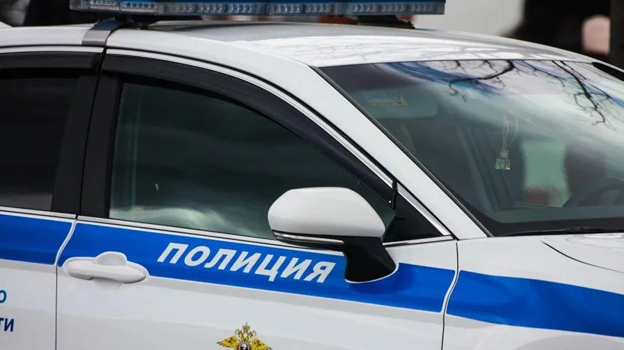 Фото: Мария Нестеренко / Вести Подмосковья