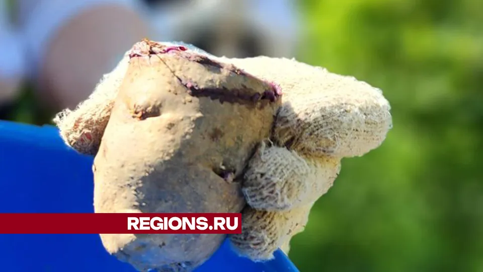 Фото: Андрей Семибратов