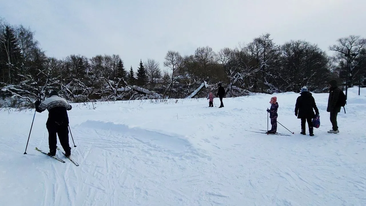 REGIONS/Дмитрий Алексеенко