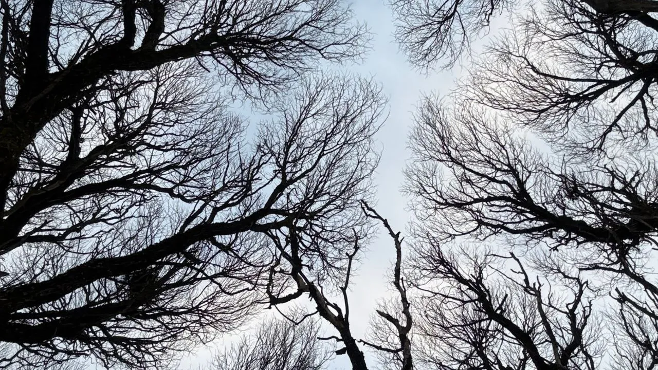 Фото: Марина Алифанова