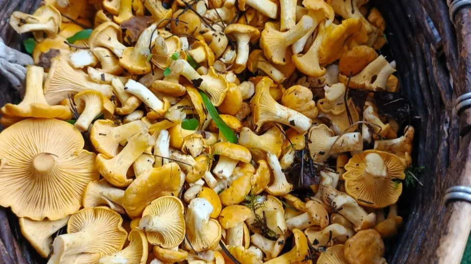 Фото: regions.ru