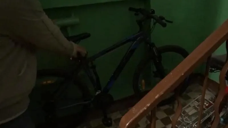 ГУ МВД по МО