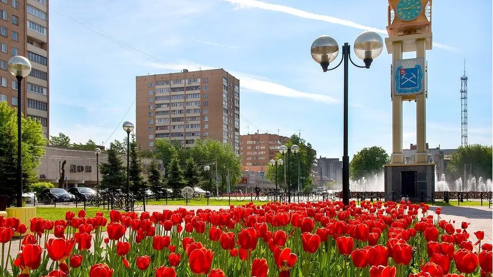 Фото: t.me/podolskadm