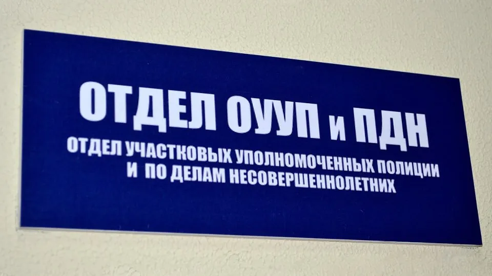 Фото: пресс-служба ОМВД России по Рузскому городскому округу