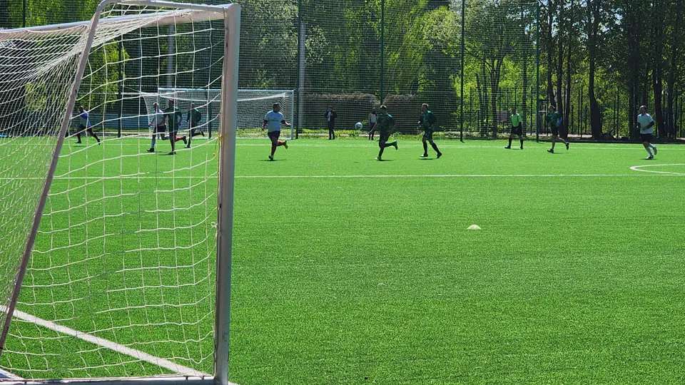 Фото: Медиабанк Подмосковья/Анна Мороз