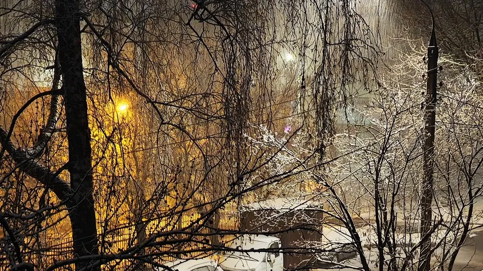 Фото: REGIONS/Алексей Селиверстов