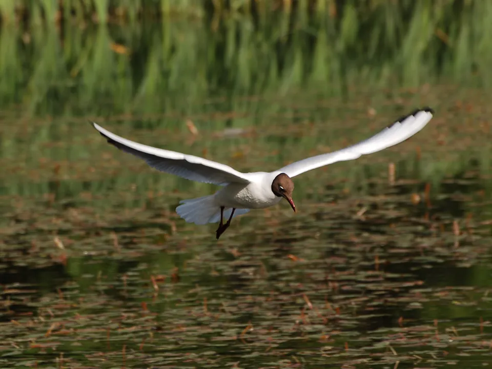 Фото: Максим Рассказчиков