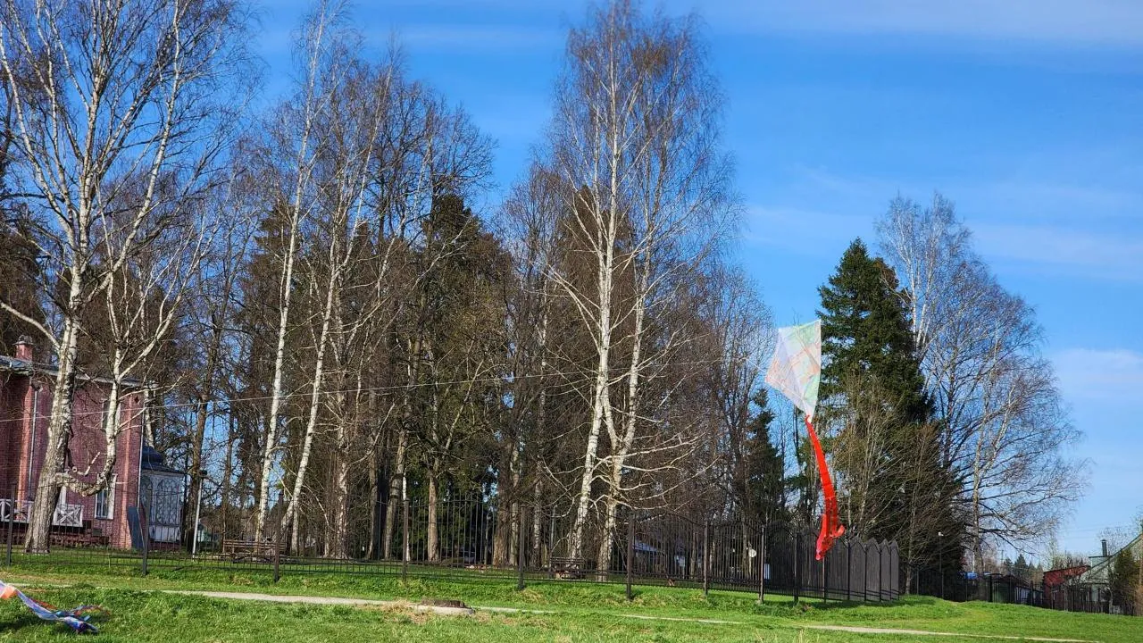 Картинка