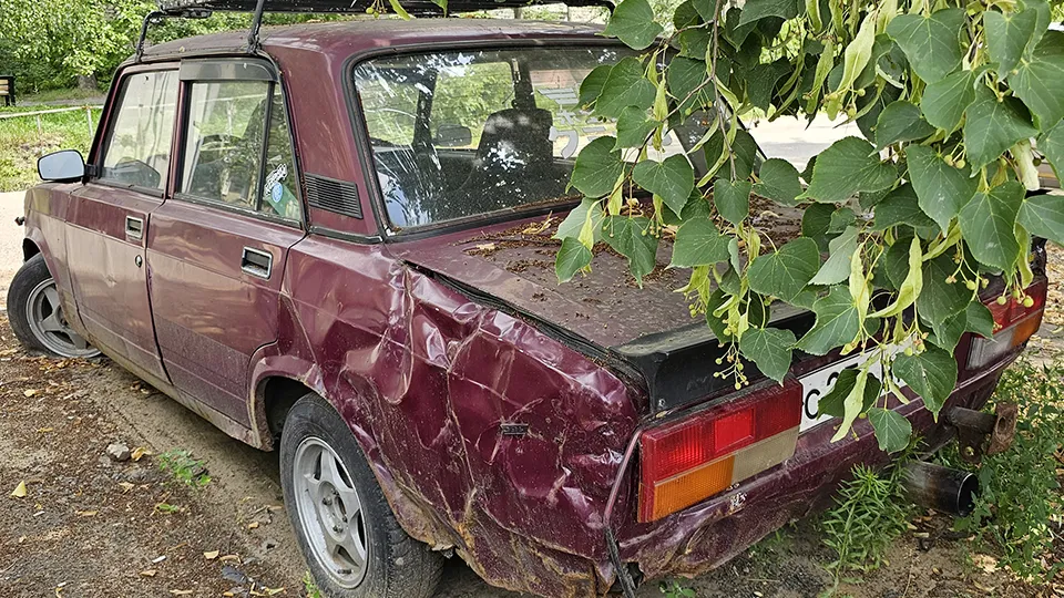 Фото: МедиаБанк Подмосковья/Алексей Сухоруков