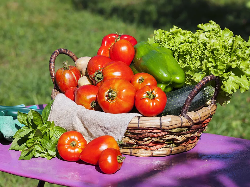 Фото: freepik.com