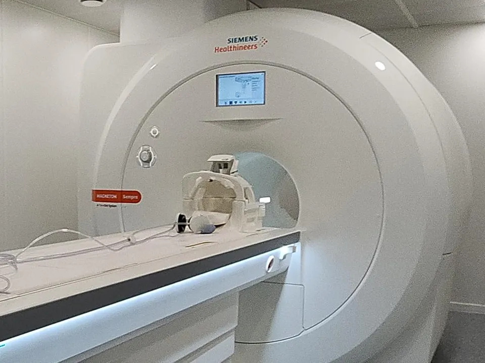 Фото: REGIONS/Нина Басистая