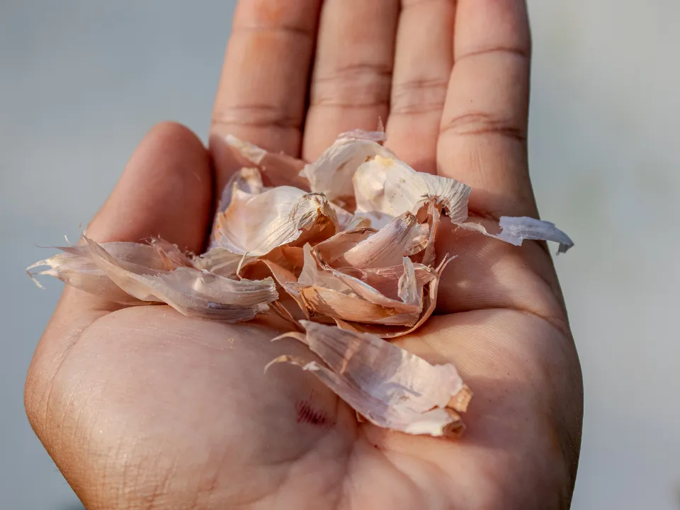 Фото: istockphoto.com/Stopboxstudio