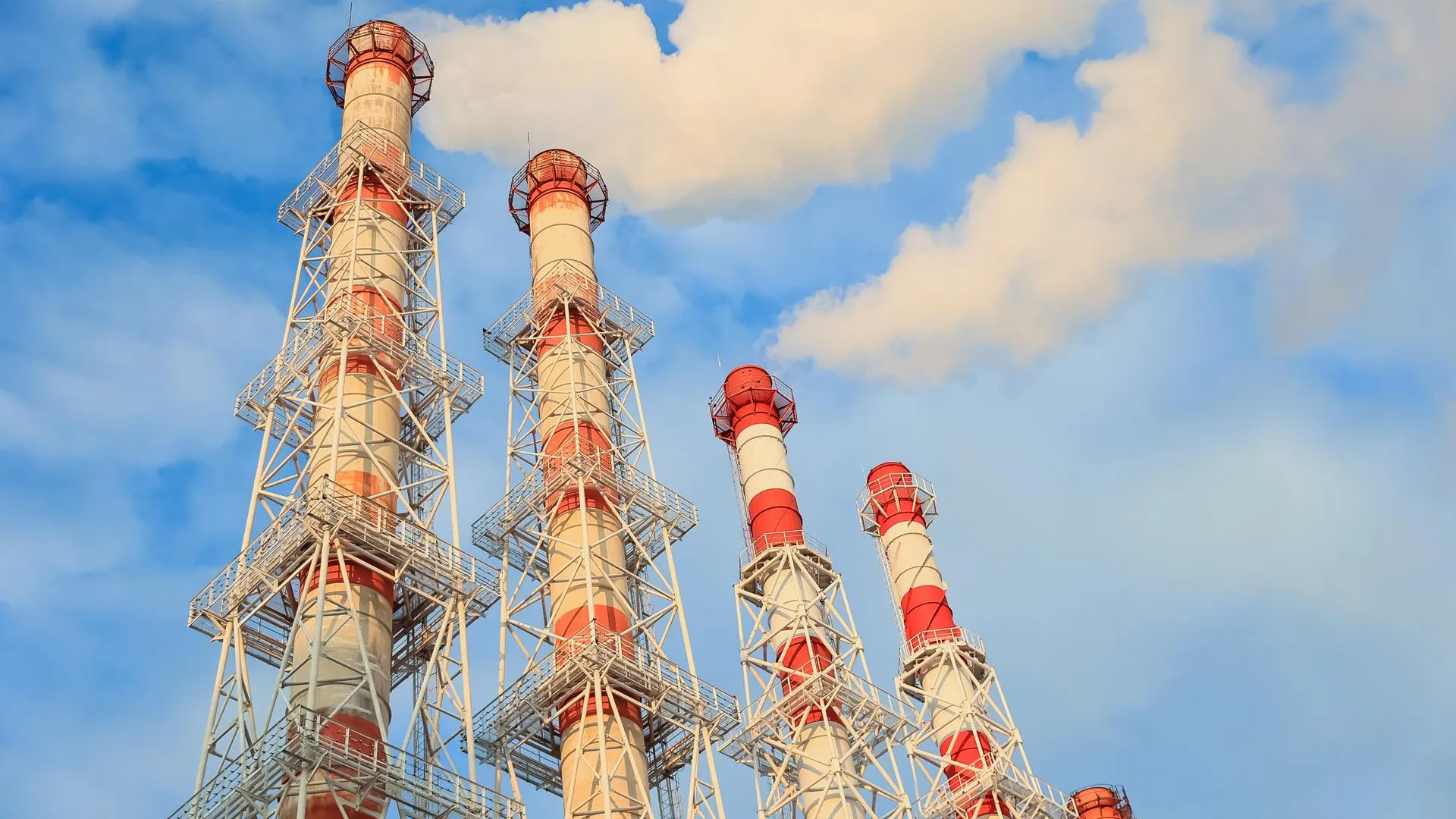 Фото: Медиаархив Подмосковья