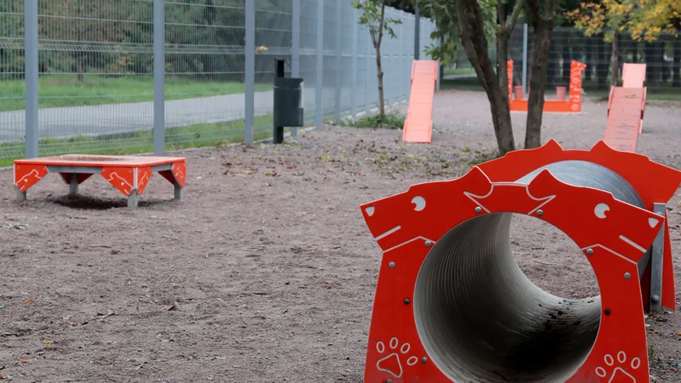 Фото: РИА Новости/Виталий Белоусов