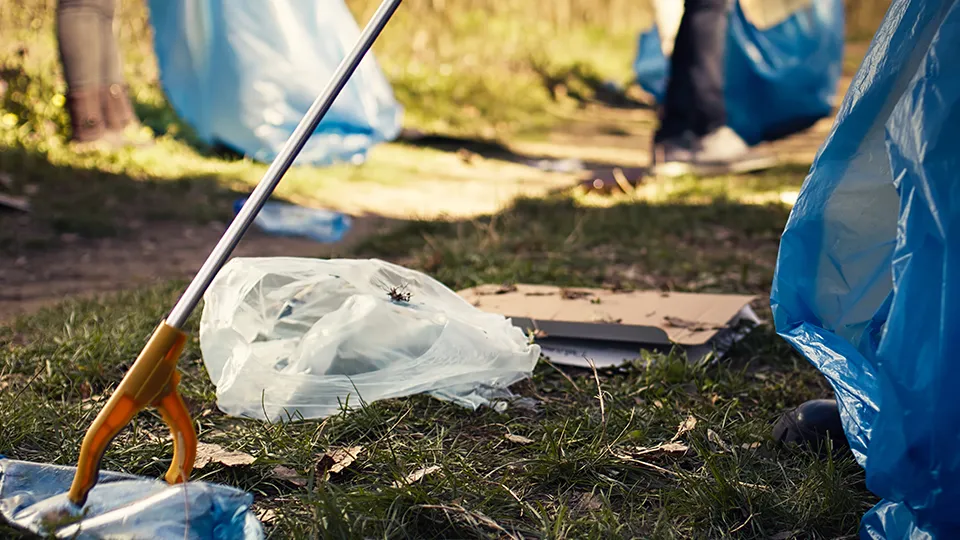 Фото: freepik.com