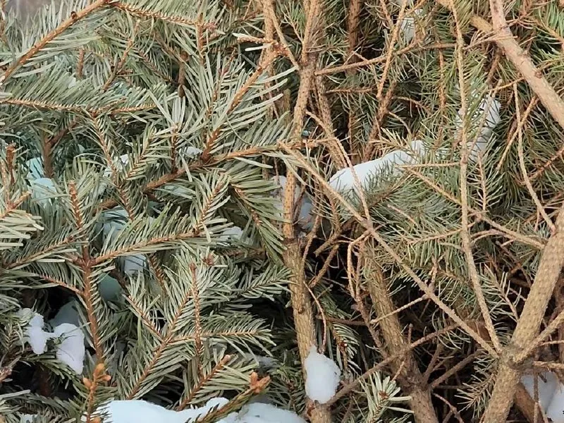 Фото: МедиаБанк Подмосковья/Валерия Ерофеева&nbsp;