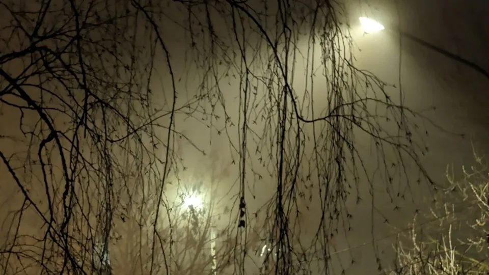 Фото: REGIONS/Алексей Селиверстов