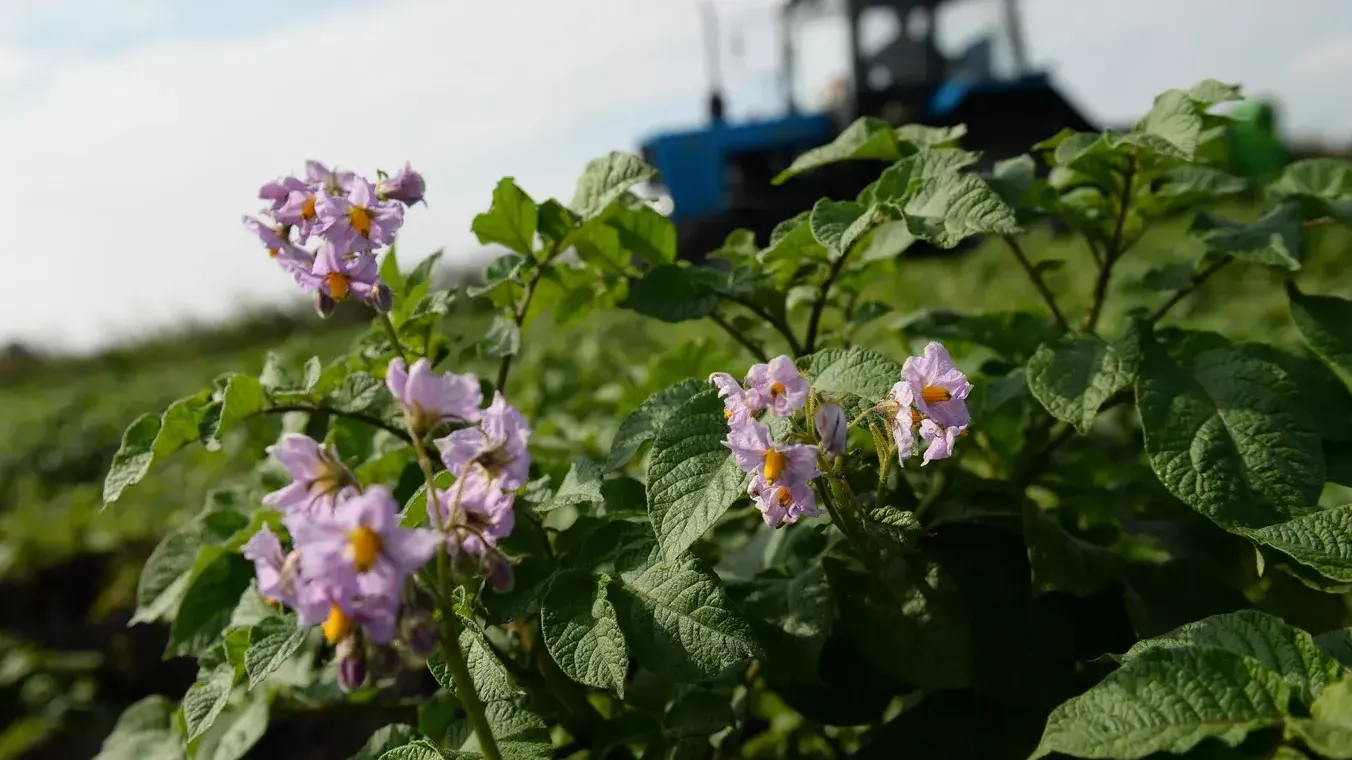 Фото: © РИА Новости / Павел Лисицын