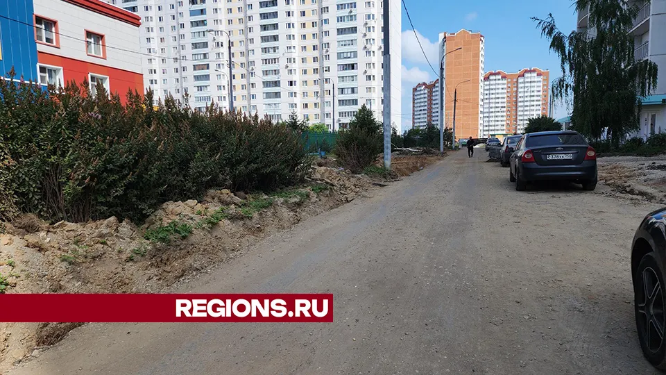 Фото: Александр Степушкин