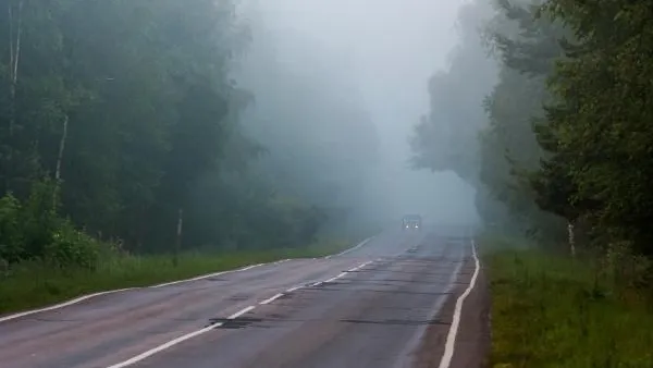 Жителей Подмосковья предупредили о сильном тумане