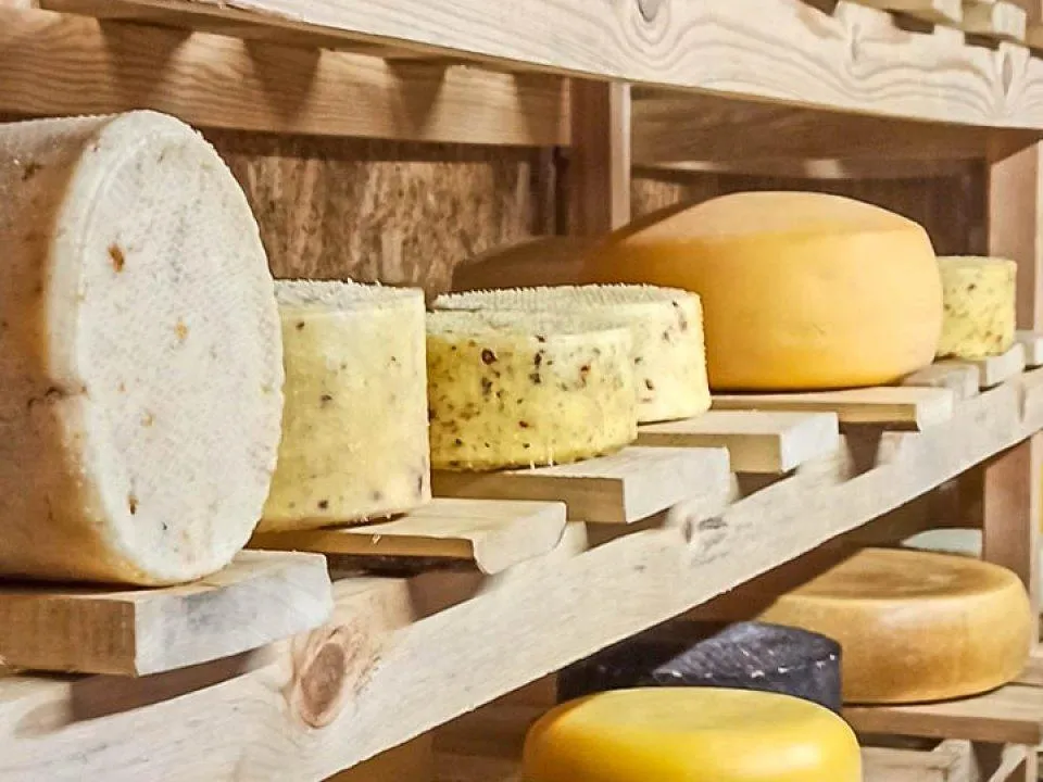 Что жарить на майских, если не хочется мяса: подборка идей от шеф‑повара