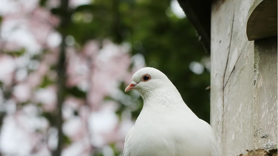 Фото: freepik.com