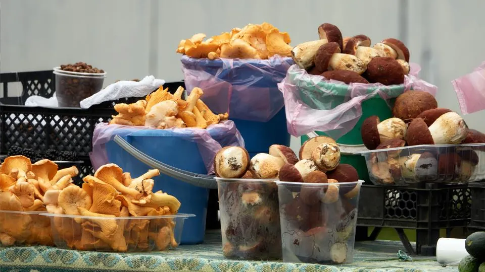 Фото: istockphoto.com