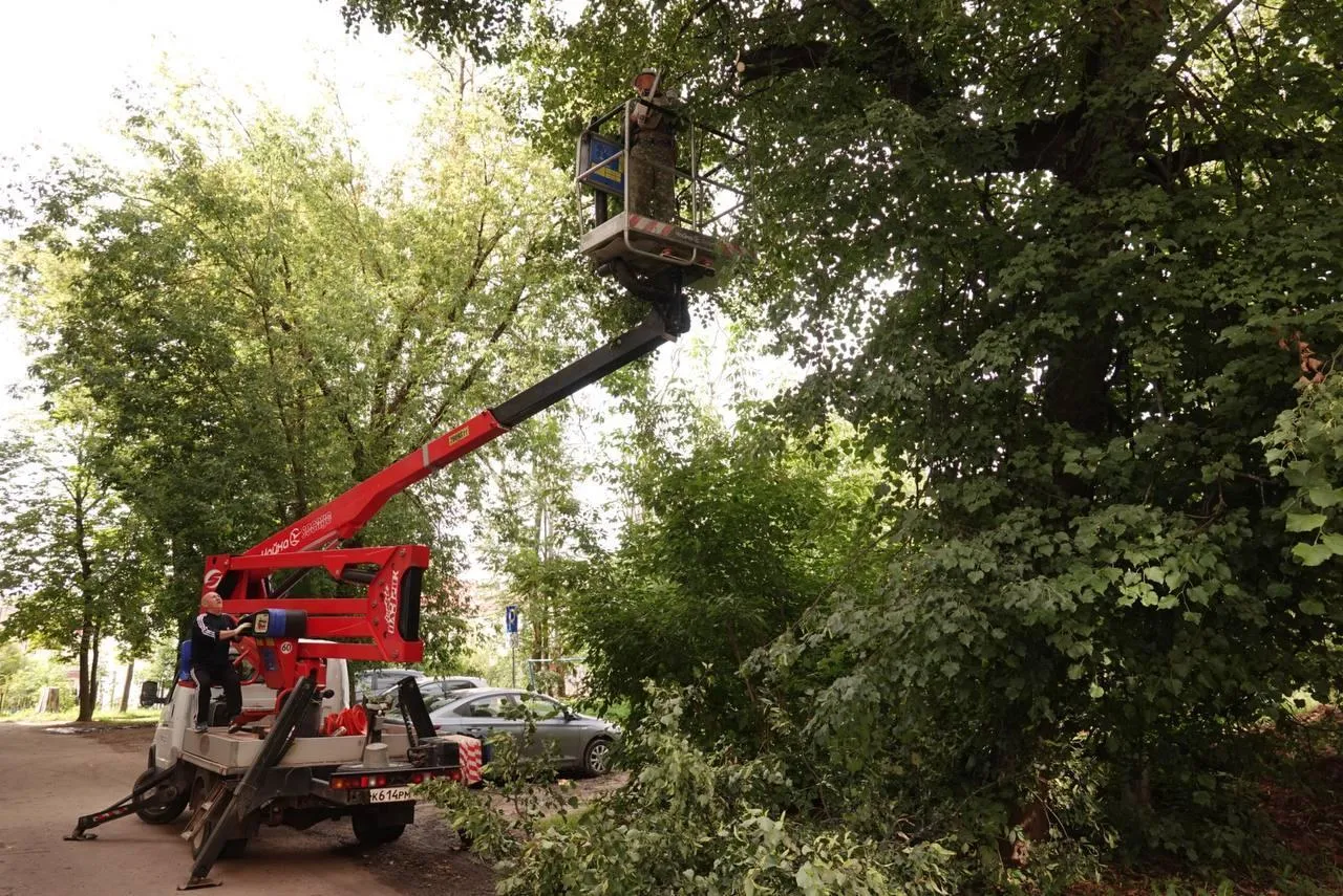 Дарья Леонова