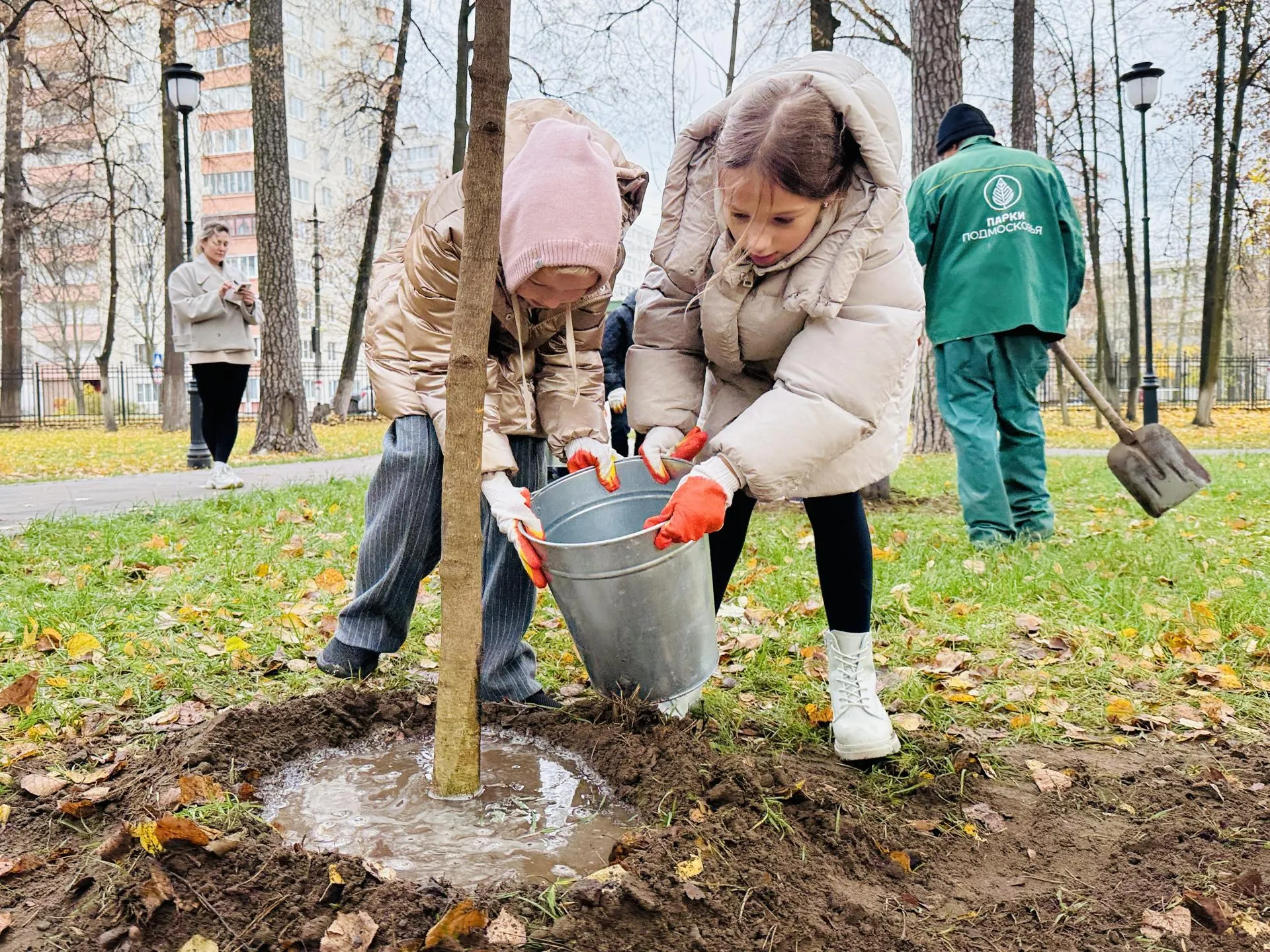 Фото: Медиабанк Подмосковья/Ольга Стаферова