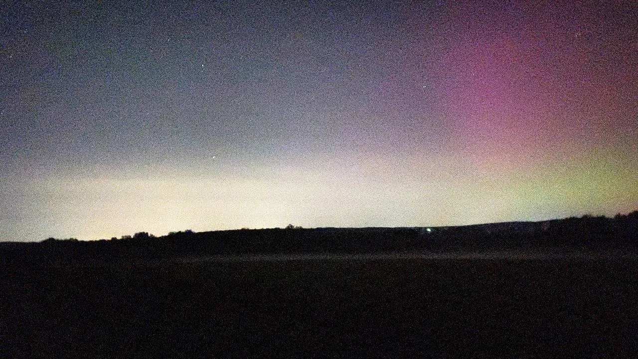 Дарья Леонова