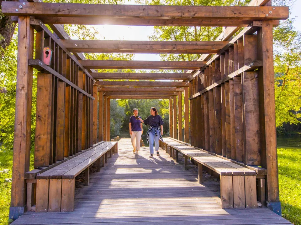 Фото: Министерство благоустройства Московской области