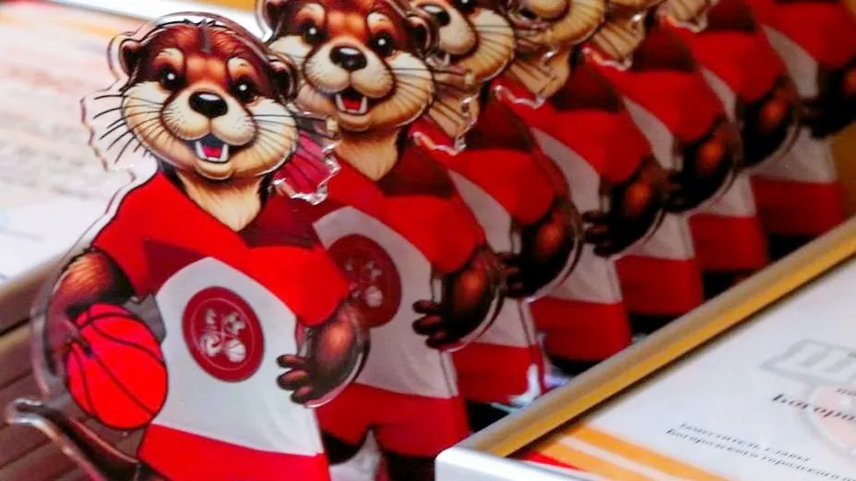 Фото: Школьная Лига БГО