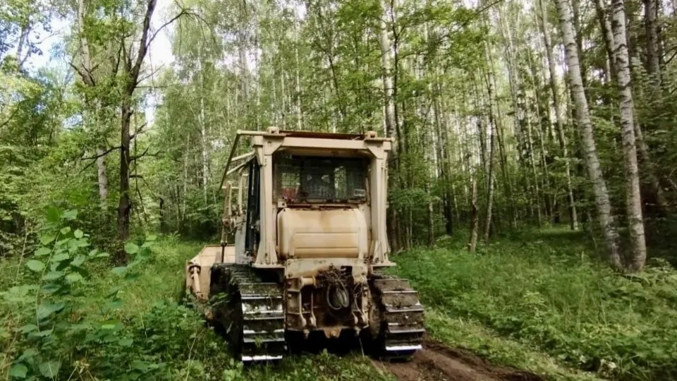 Фото: Комитет лесного хозяйства Московской области