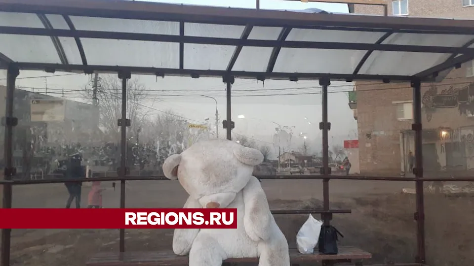 Фото: Алла Трошина