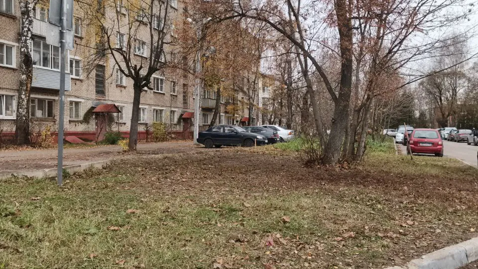 Фото: пресс-служба администрации г.о. Пушкинский