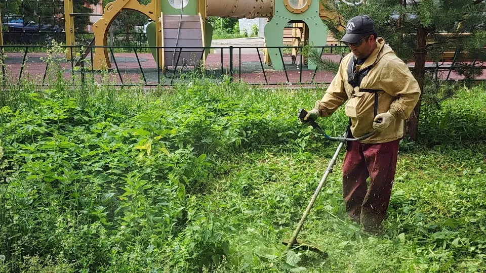 Фото: МедиаБанк Подмосковья/Дмитрий Алексеенко