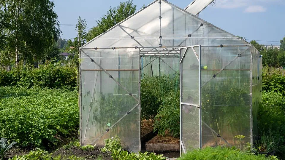 Фото: istockphoto.com