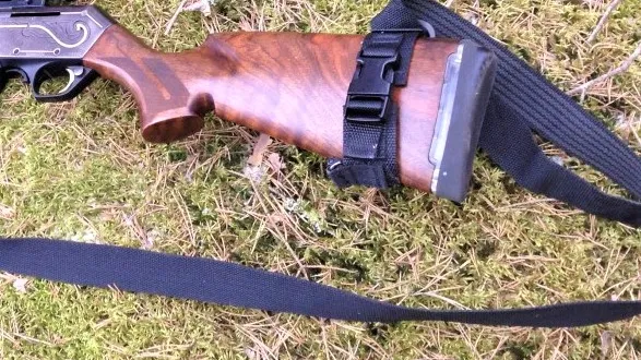 Фото: pxhere.com