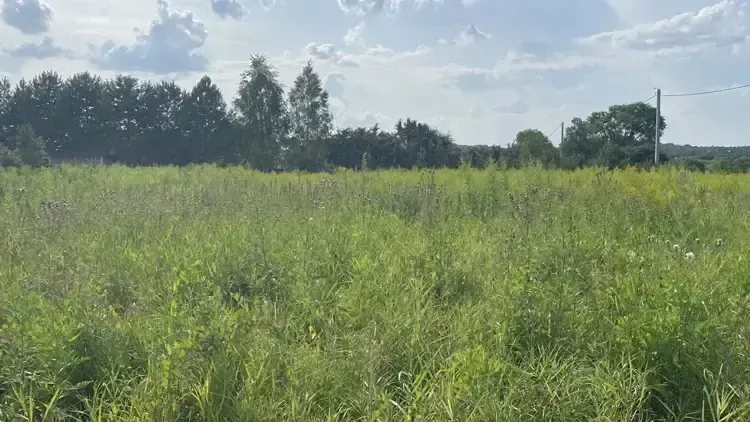 Участок на торгах в г. о.Кашира