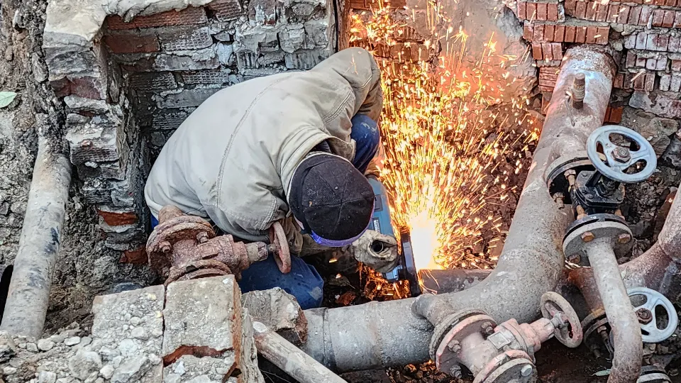 Фото: МедиаБанк Подмосковья/Дмитрий Алексеенко