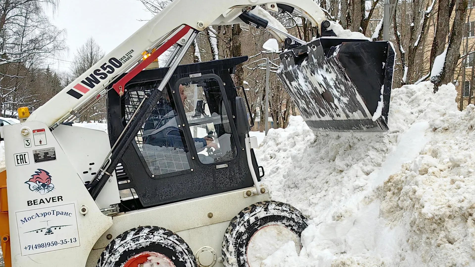 Елена Катасонова