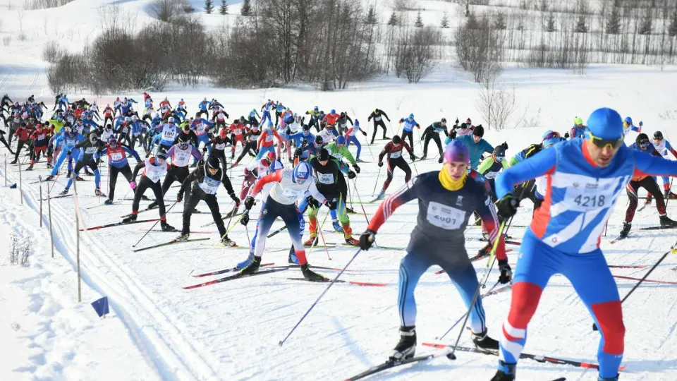 Фото: пресс-служба администрации г.о. Химки