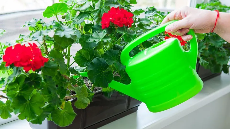 istockphoto.com/OKrasyuk