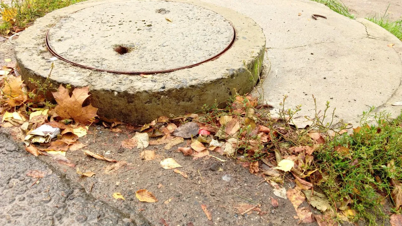 Фото: REGIONS/Василий Тремасов