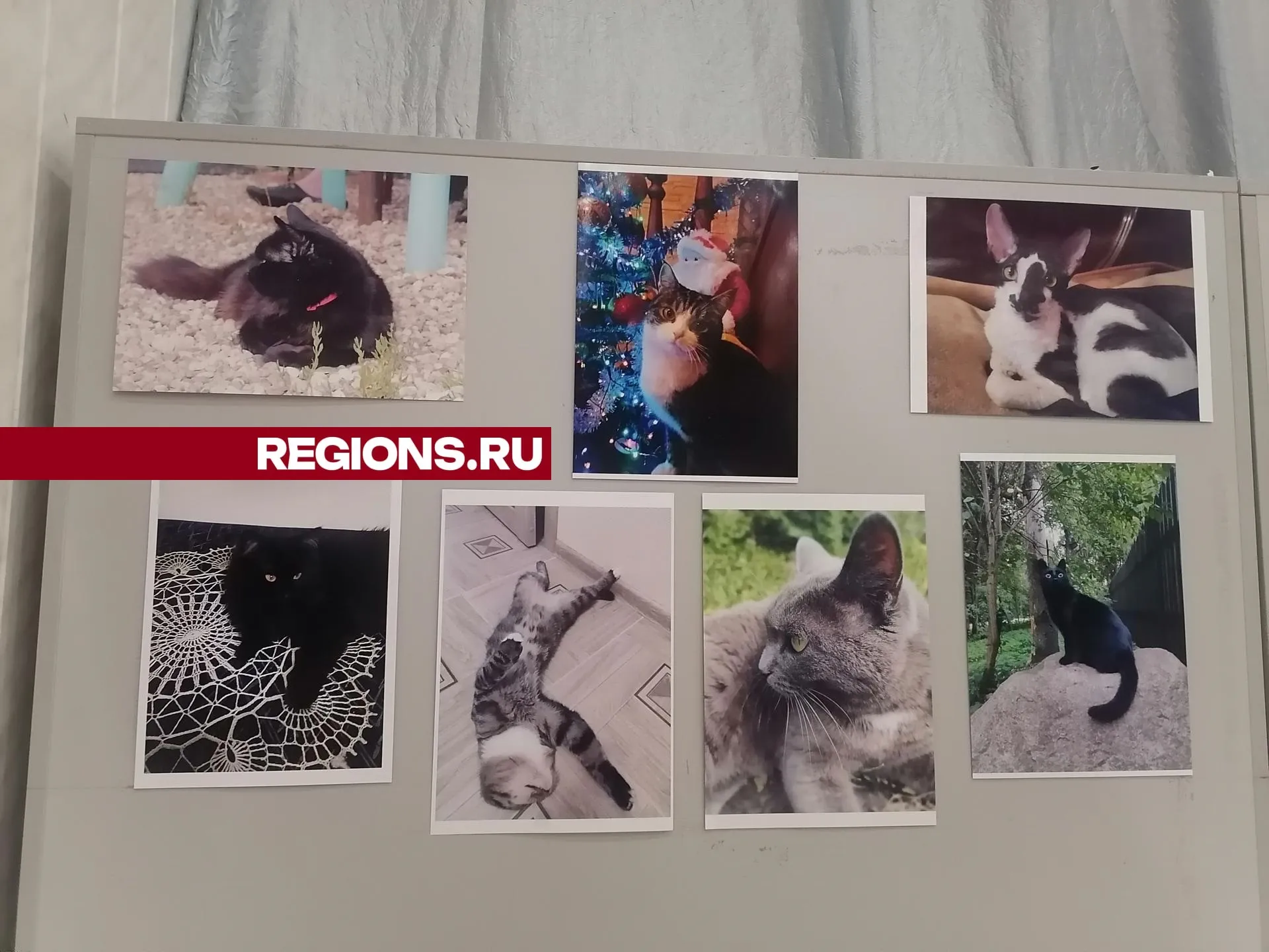 Фото: Юлия Смагринская