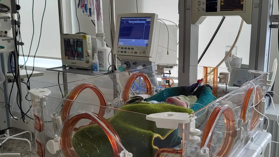 Фото: пресс-служба Коломенского ПЦ