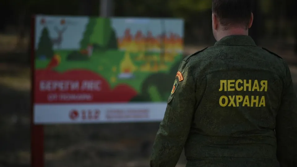 Фото: МедиаБанк Подмосковья