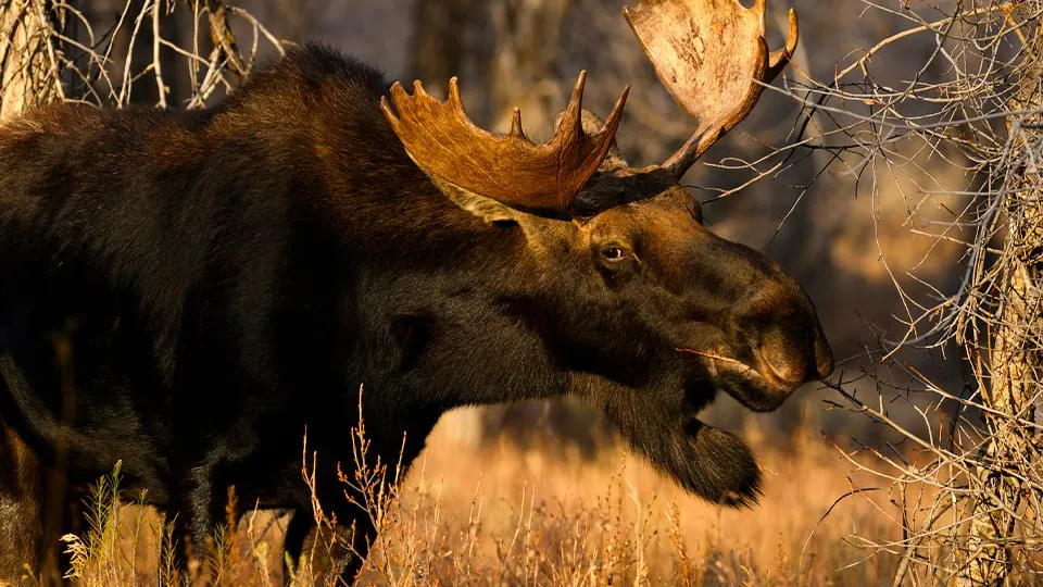 Фото: istockphoto.com