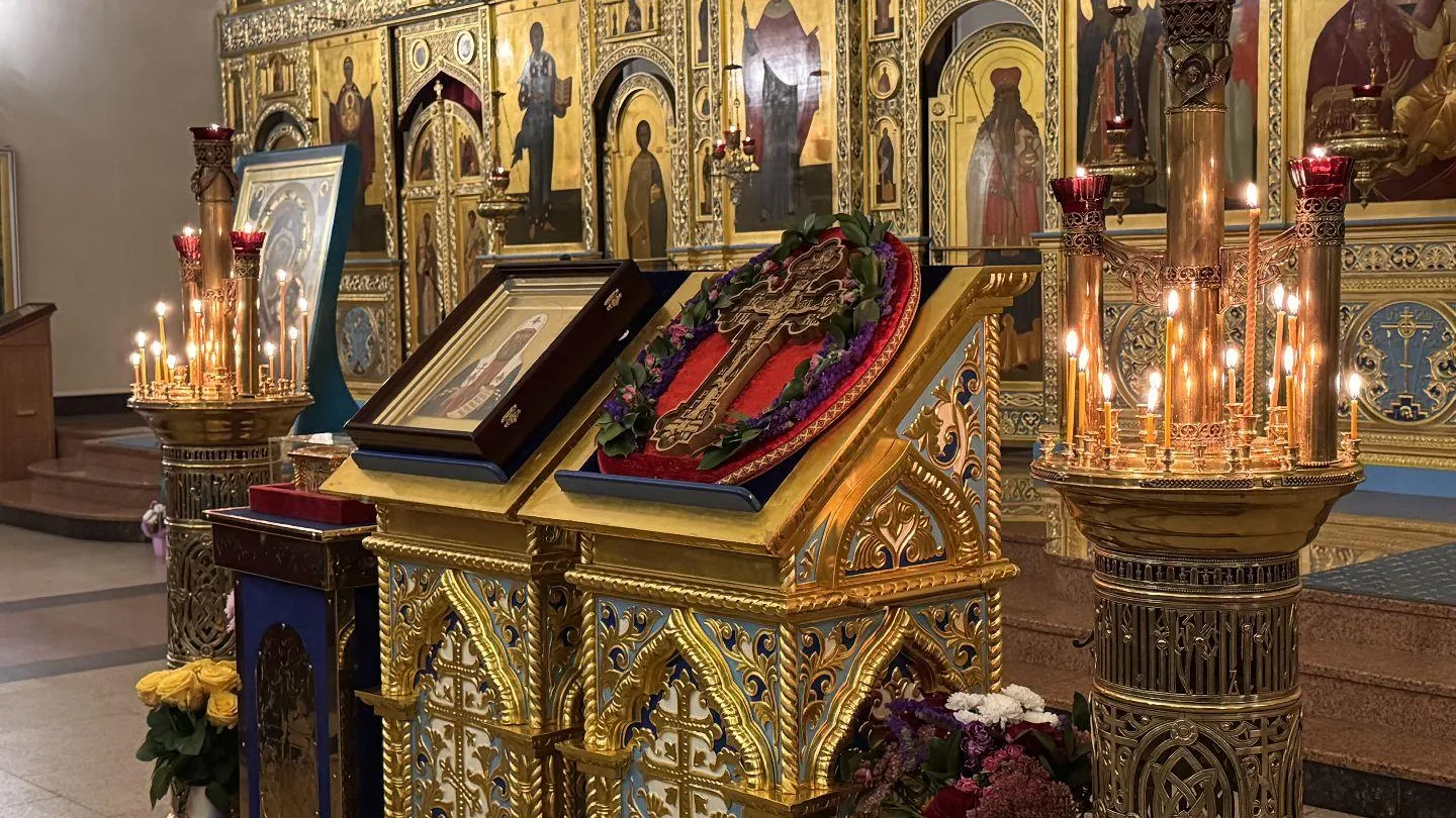 МедиаБанк Подмосковья/Мария Шматкова