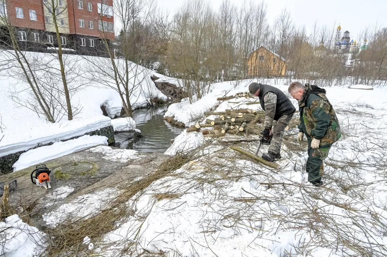 Фото: пресс-служба администрации Сергиево-Посадского г.о.